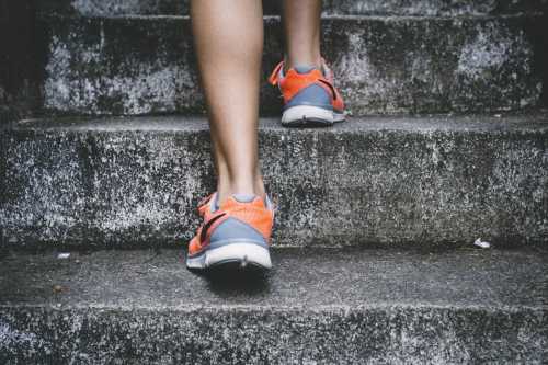 ACSM Releases Landmark Consensus: Zone 2 Cardio is Non-Negotiable for Mitochondrial Health and Longevity