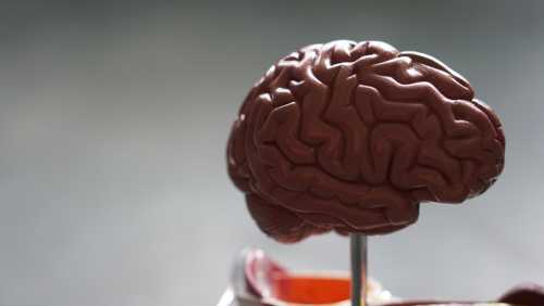 FDA Approves First In Vivo CRISPR Gene Therapy for Alzheimer’s Disease, Marking a New Era in Neurodegenerative Treatment
