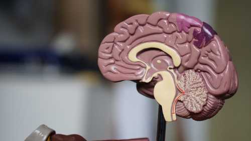 FDA Approves MDMA-Assisted Psychotherapy for Severe PTSD Following Landmark Phase 3 MAPS Trials