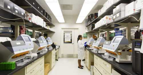 Landmark 2026 Breakthrough: Experimental Pancreatic Cancer Drug Doubles Survival Rates in Historic Clinical Trial