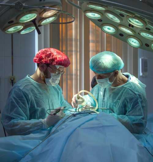 NIH Research Highlights 2026: Wearable Ultrasound Patch and Novel Vaccines for HIV and Plague