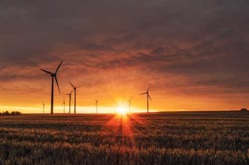 Pakistan’s Masterplan for Survival: Inside the 2026 National Climate Adaptation and Carbon Pricing Policy