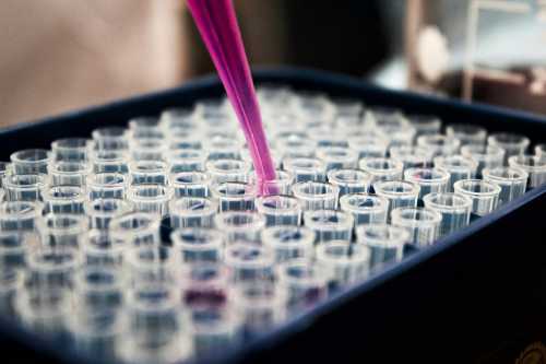 Senolytics Enter Advanced Clinical Trials: Targeting Cellular Senescence for Longevity and Alzheimer's