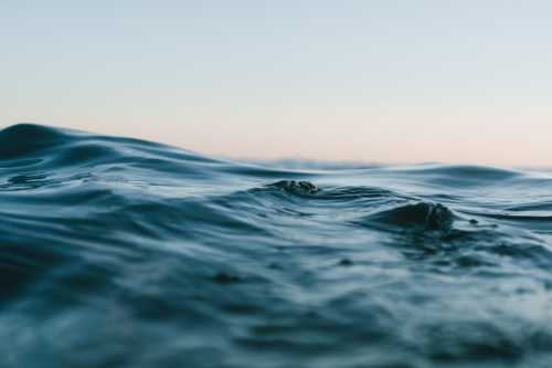 Taiwan Protests to Kenya After Officials Blocked from Oceans Forum