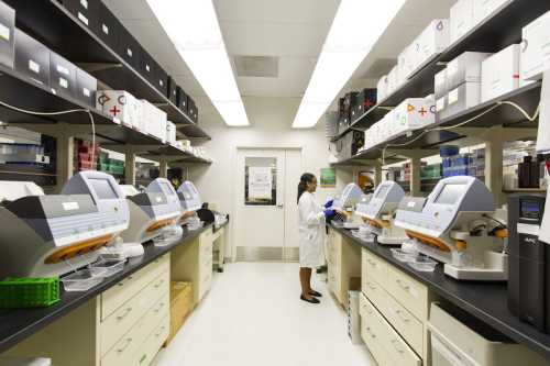 The Biomedical Bottleneck: Navigating the Hidden Friction in the 2026 Medical Research Boom