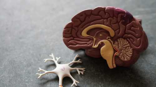 The Cognitive Deficit: Inside Pakistan’s 2026 Mental Health Policy Pivot