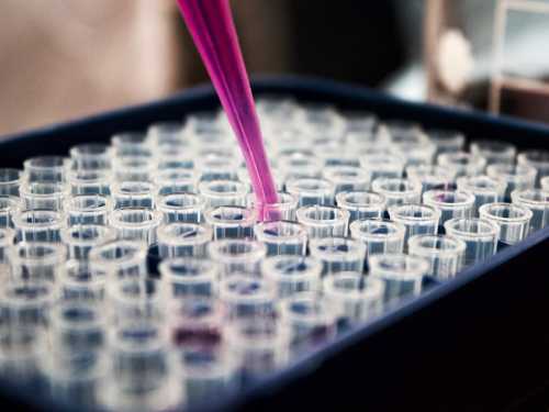 The End of the Typo: Global Health Systems Roll Out Definitive CRISPR Gene Therapy Cure for Sickle Cell and Thalassemia