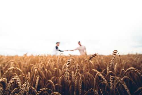 The Giant Farm Truce: French President Emmanuel Macron Survives Razor-Thin No-Confidence Vote Over 2026 Agriculture Subsidy Bill