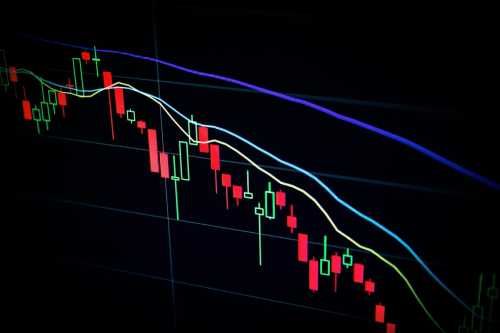 The Illusion of Market Perfection: Navigating the Divergence Between AI Valuations and Macro Reality