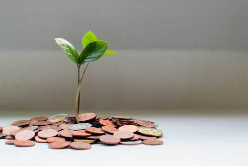 The Invisible Piggy Bank: How FinTech Startup 'ZarAI' is Teaching Gen Z to Invest with AI and Micro-Cents