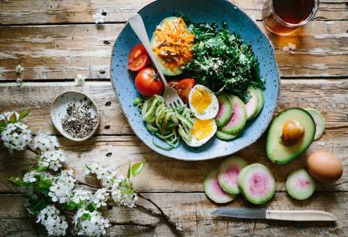 The Metabolic Reckoning: Systemic Vulnerabilities in the 2026 Nutrition and Fitness Architecture