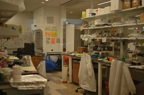 The Quiet Decoupling: How a Funding Freeze and a December Rule Are Redrawing American Science