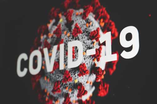 The Sentinel Deficit: How Zoonotic Spillover and Institutional Defunding are Breaking Global Health Security