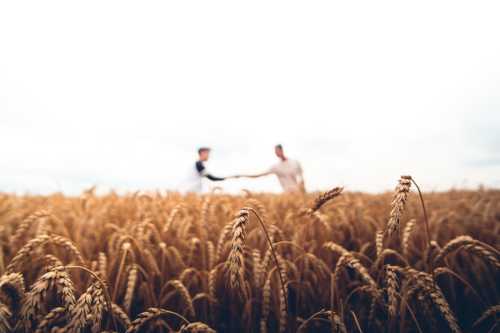 Trump Signs Executive Order on Advancing Regenerative Agriculture and Strengthening American Farm Resilience