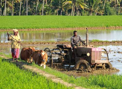 US Push for Regenerative Agriculture: Implications for Global Food Security and Pakistan's Farming Sector